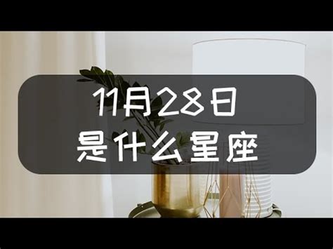 11月28號是什麼星座|11月28日出生是什么星座